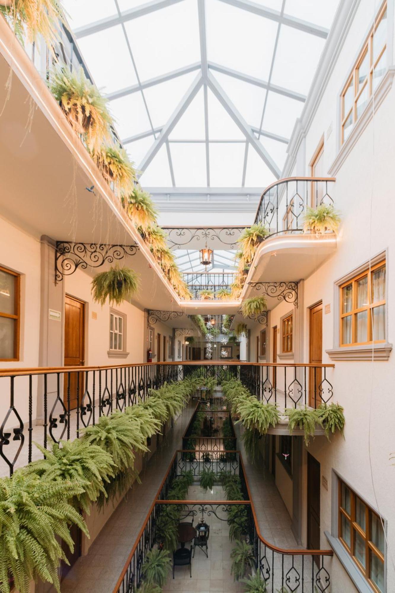 Hotel Marques Del Valle Oaxaca Dış mekan fotoğraf